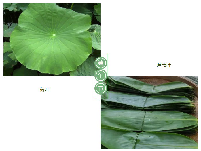 j9国际医纺