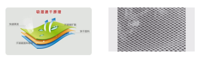 j9国际医用纺织