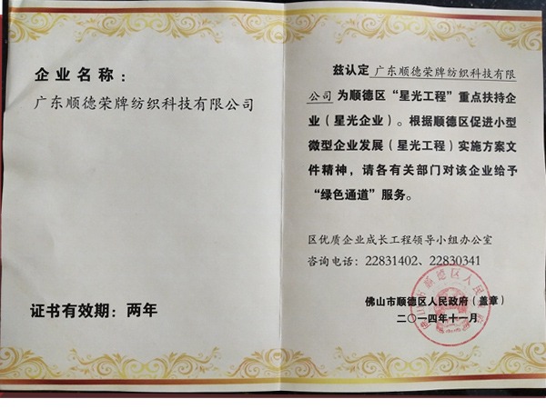 j9国际荣获政府重点扶持企业